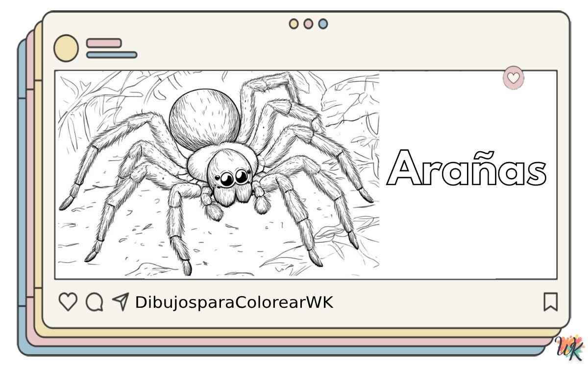 Arañas 7 123 Dibujos Para Colorear Arañas