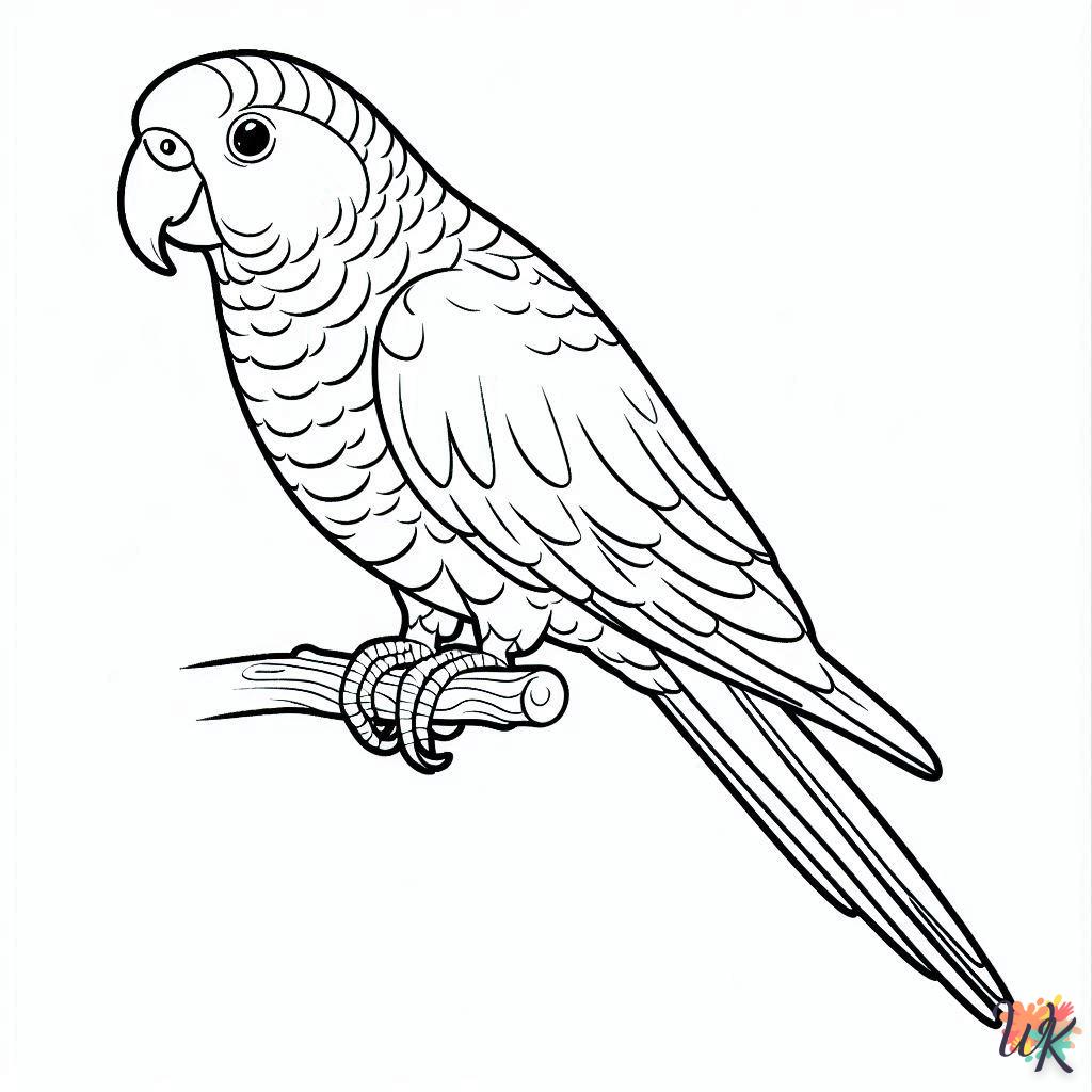 Dibujos Para Colorear Loro