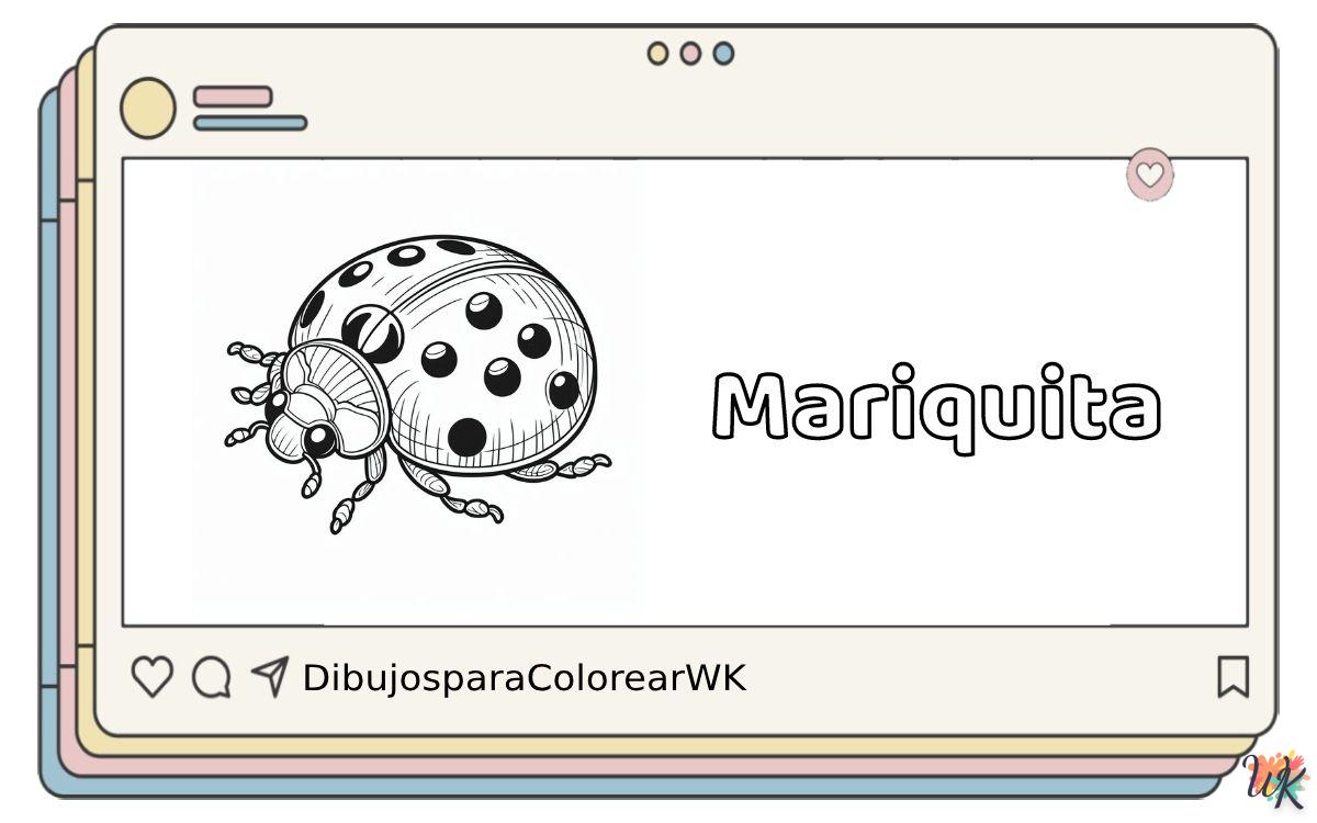Mariquita 3 39 Dibujos Para Colorear Mariquita