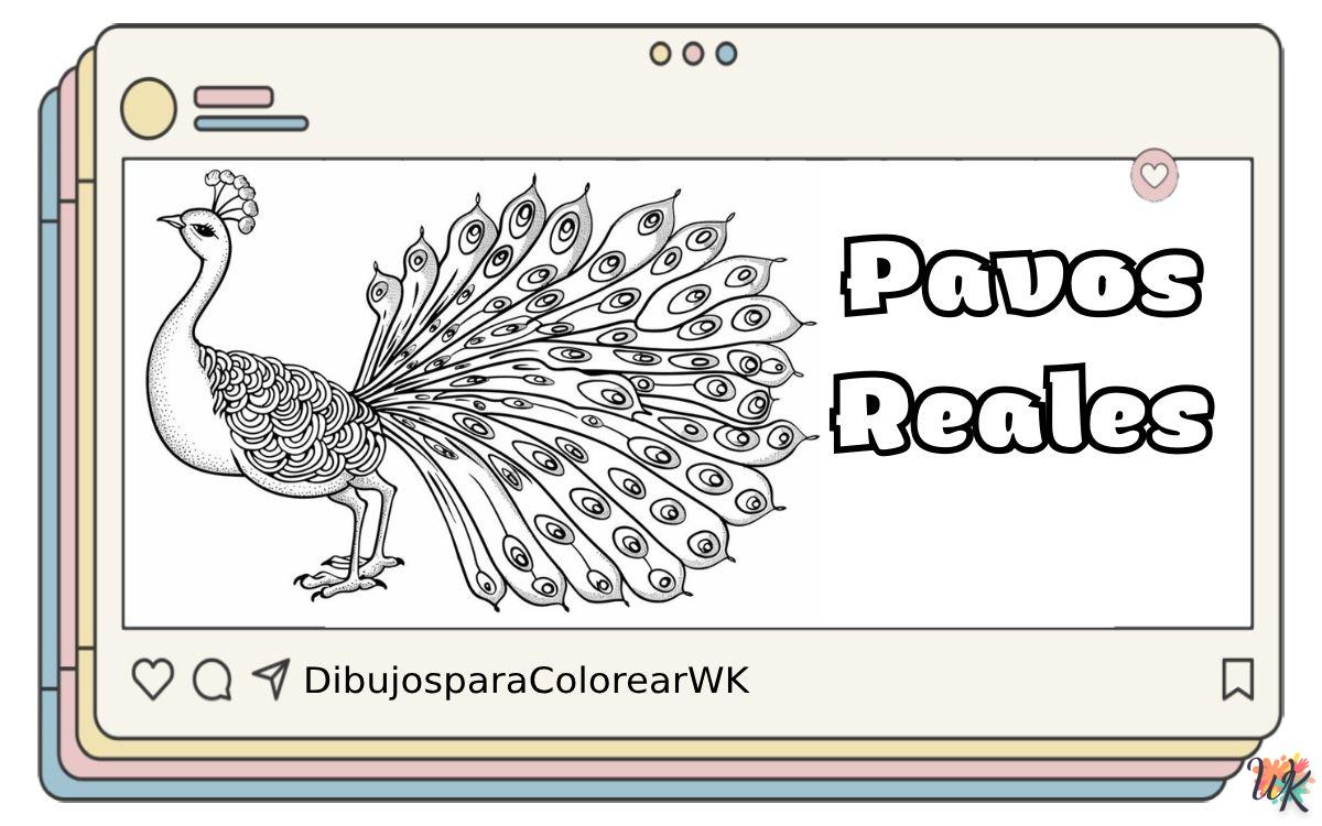 Pavos Reales 9 110 Dibujos Para Colorear Pavos Reales