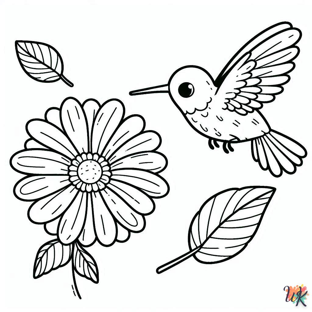 Dibujos Para Colorear Colibríes