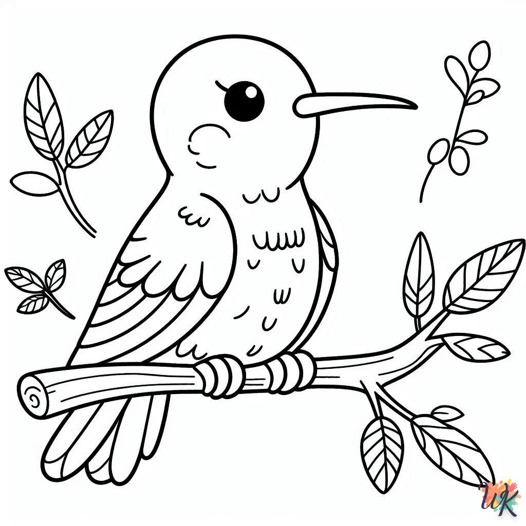 Dibujos Para Colorear Colibríes