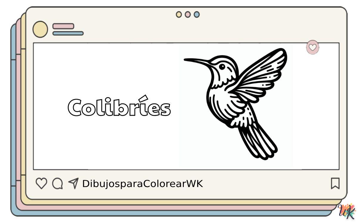 Colibríes 5 130 Dibujos Para Colorear Colibríes