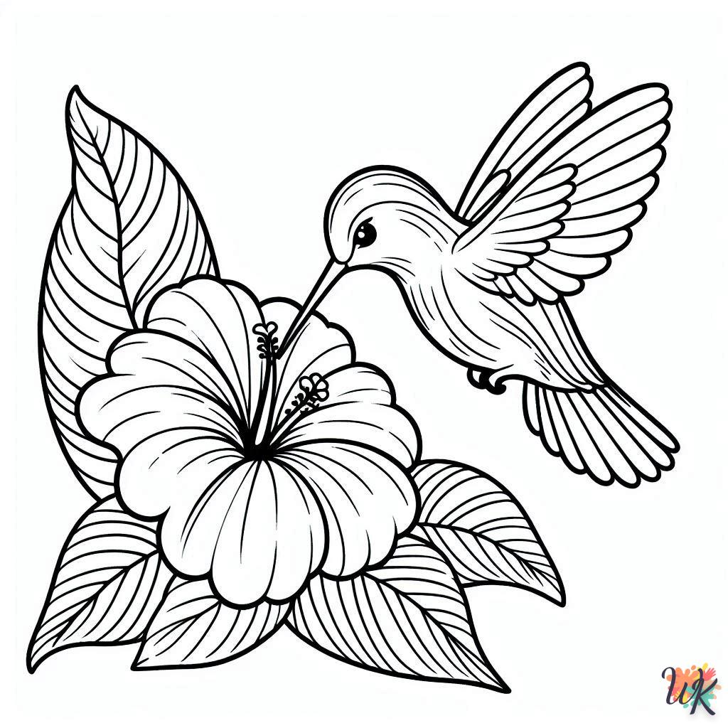 Dibujos Para Colorear Colibríes