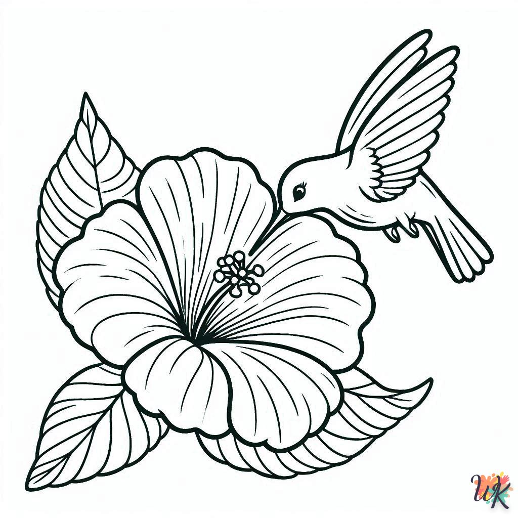 Dibujos Para Colorear Colibríes