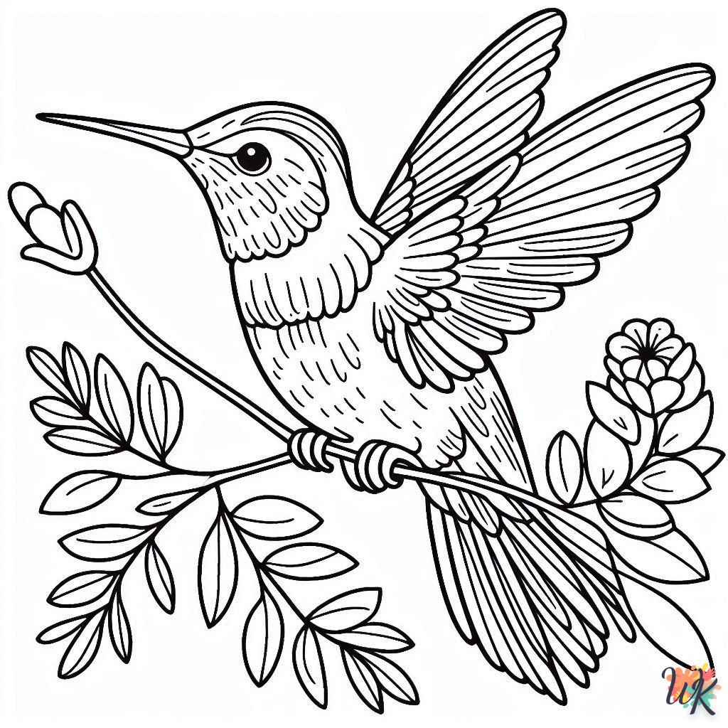 Dibujos Para Colorear Colibríes