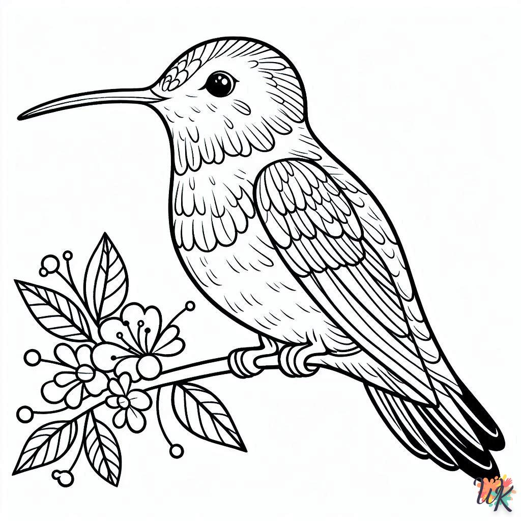 Dibujos Para Colorear Colibríes