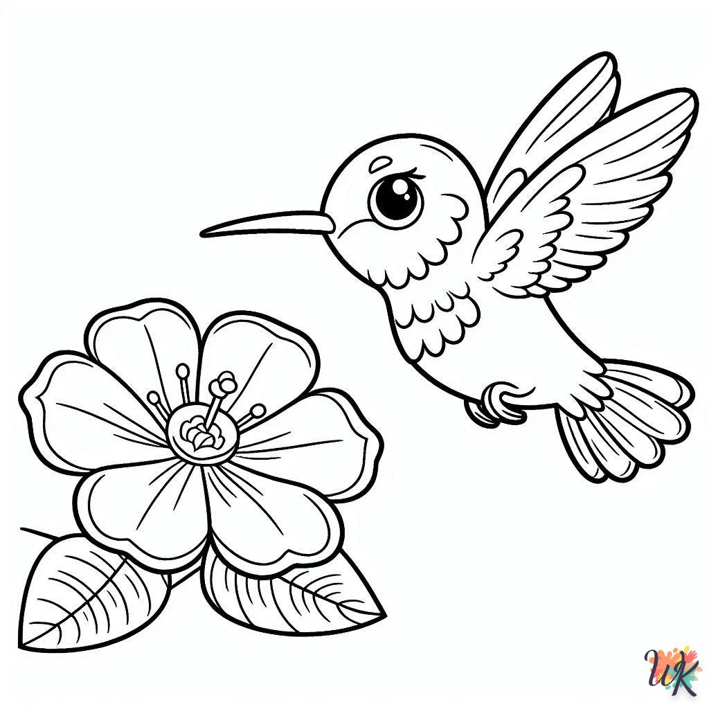 Dibujos Para Colorear Colibríes