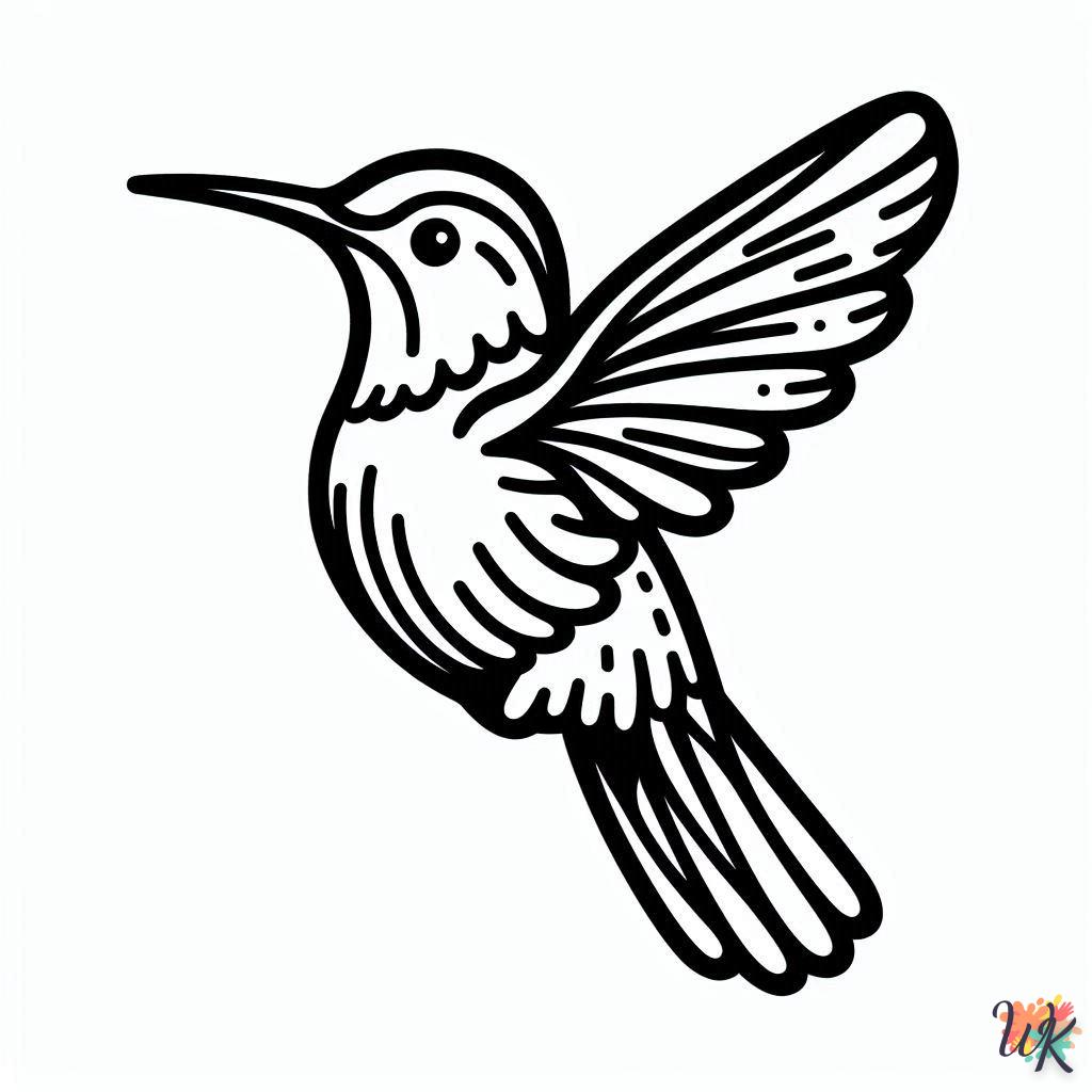 Dibujos Para Colorear Colibríes