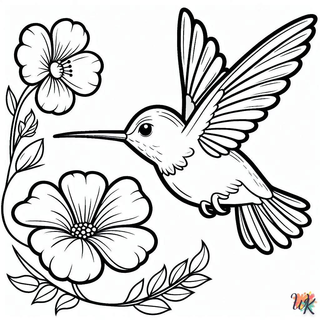 Dibujos Para Colorear Colibríes