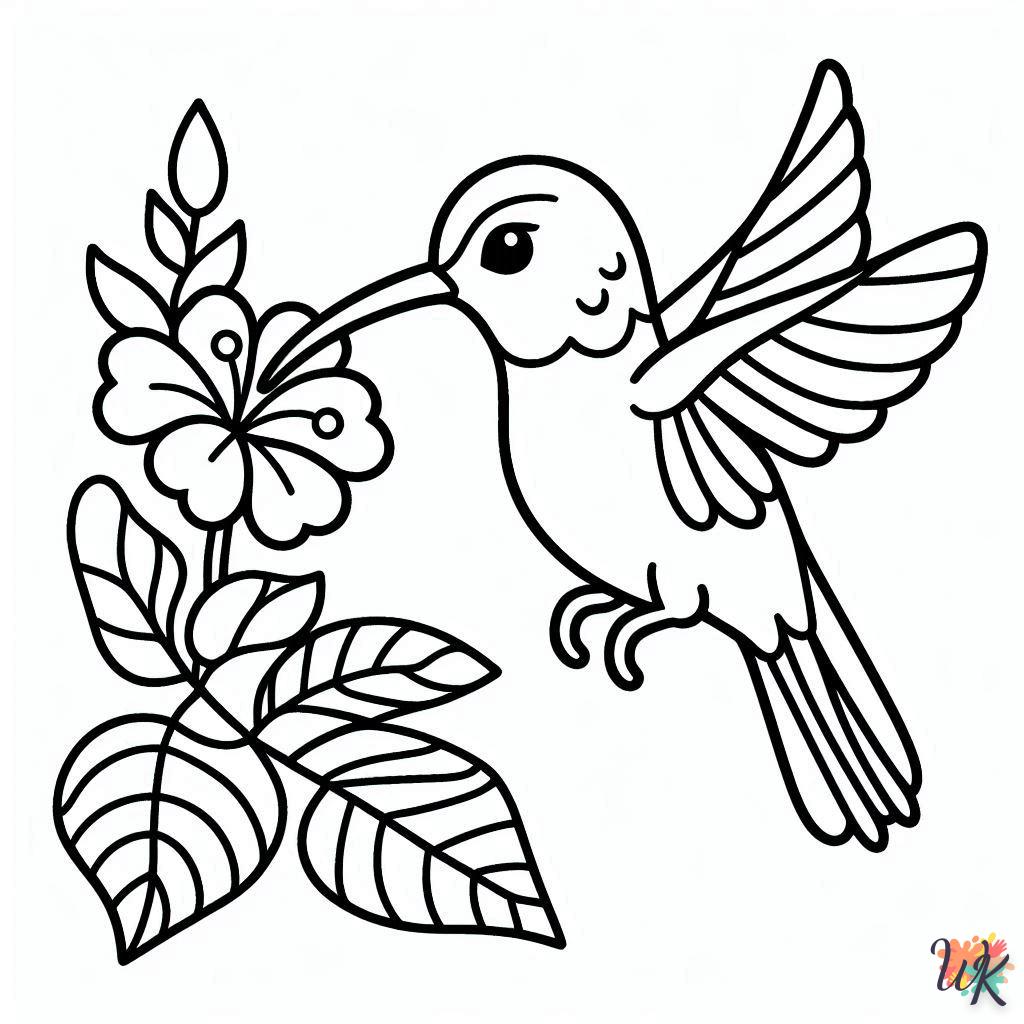 Dibujos Para Colorear Colibríes