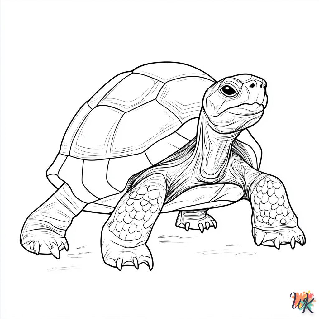 Dibujos Para Colorear Tortuga