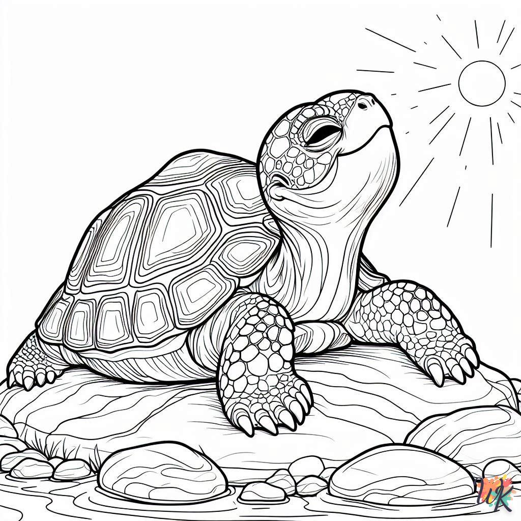 Dibujos Para Colorear Tortuga