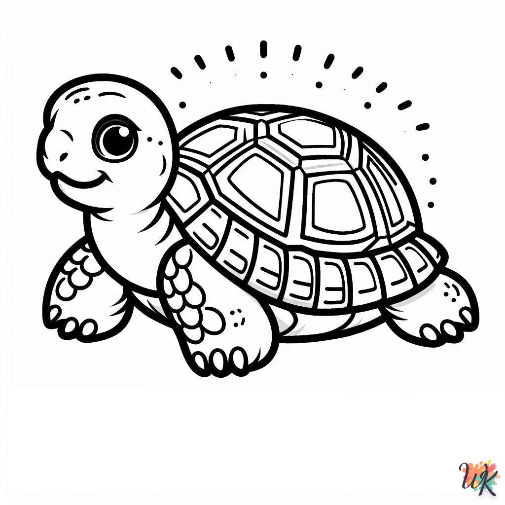 Dibujos Para Colorear Tortuga