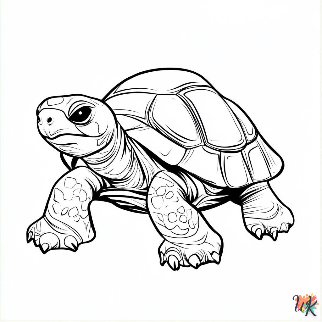 Dibujos Para Colorear Tortuga