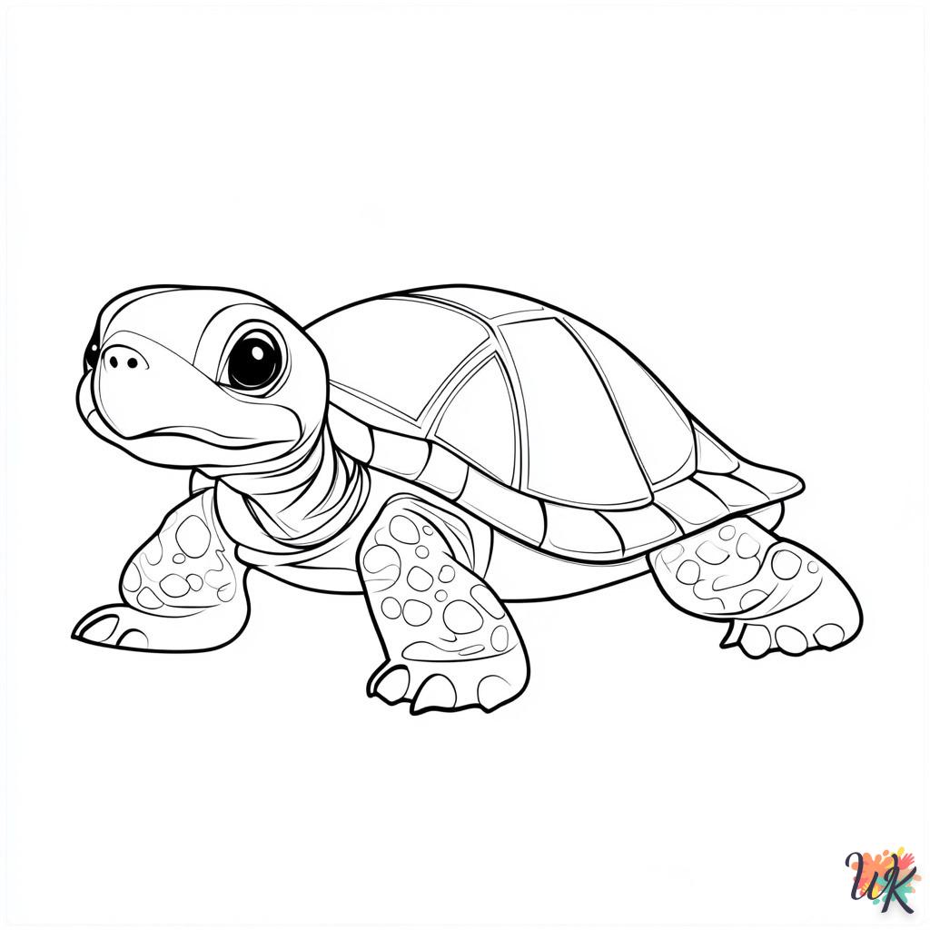 Dibujos Para Colorear Tortuga