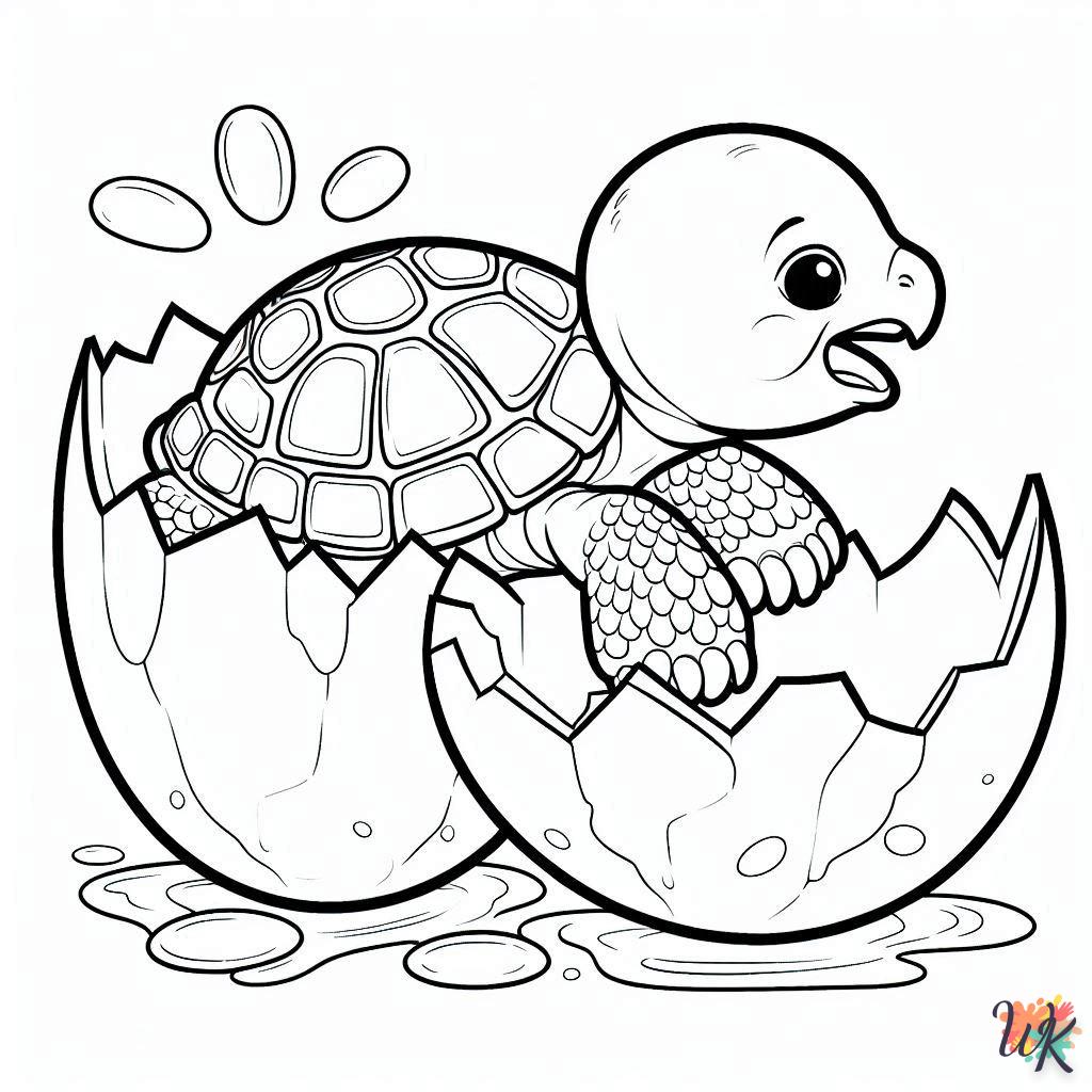 Dibujos Para Colorear Tortuga