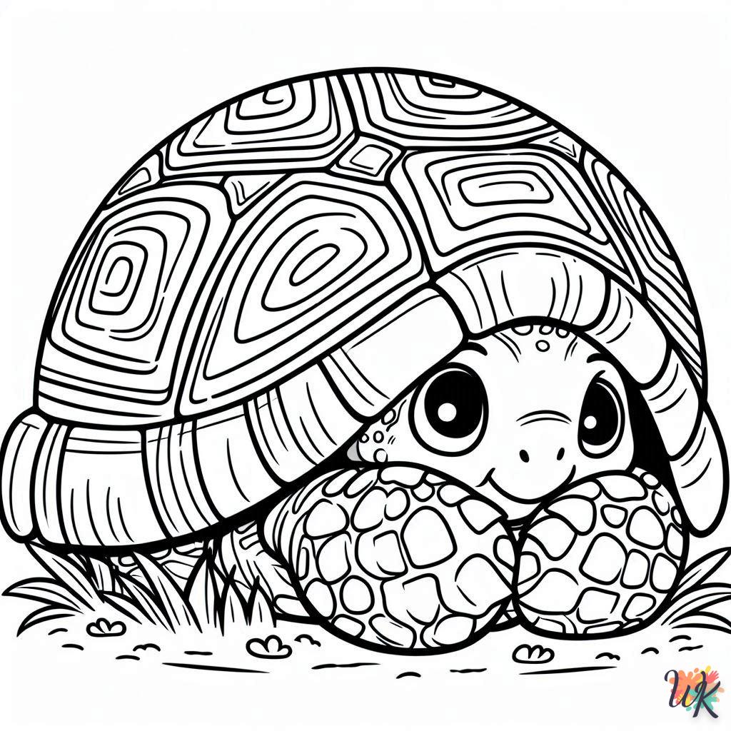 Dibujos Para Colorear Tortuga