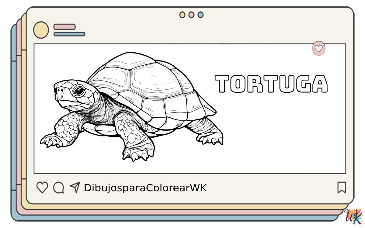 Tortuga 6 72 Dibujos Para Colorear Tortuga