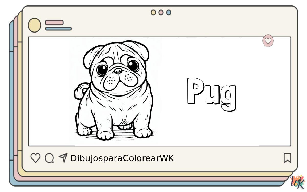 Pug 7 45 Dibujos Para Colorear Pug