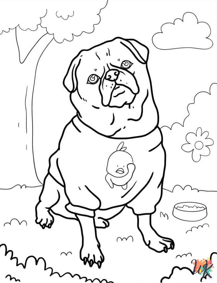 Dibujos para Colorear Pug
