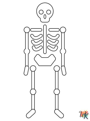 Dibujos para Colorear Anatomía