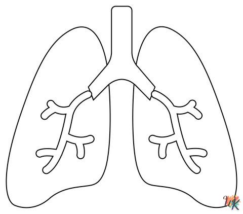 Dibujos para Colorear Anatomía