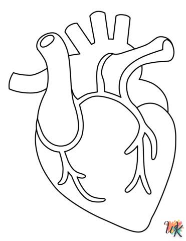 Dibujos para Colorear Anatomía