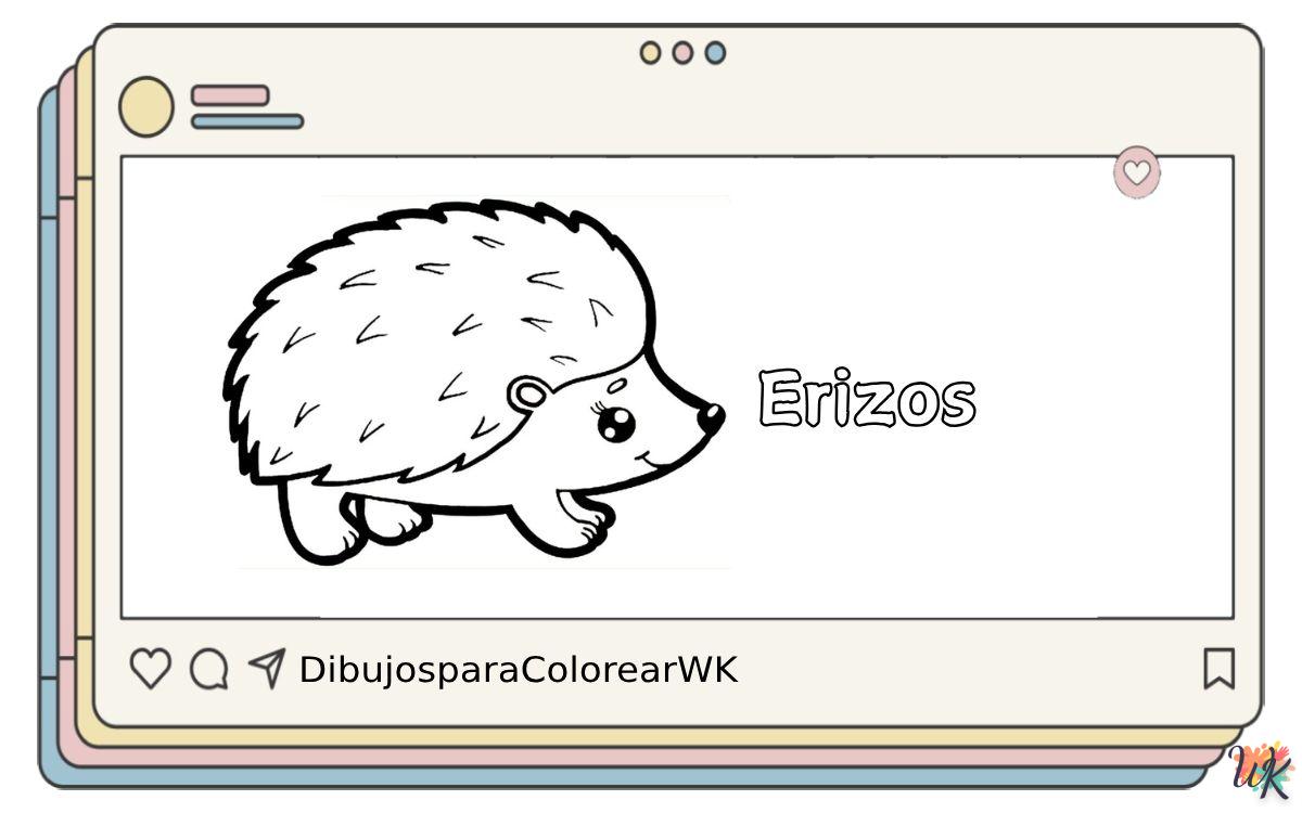 Erizos 2 31 Dibujos Para Colorear Erizos