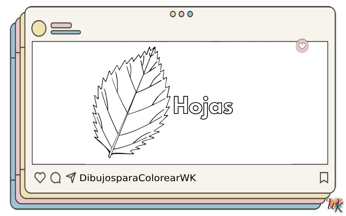 Hojas 1 Hojas